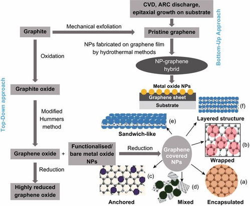石墨烯基納米材料在生物醫學中的應用與環境健康風險 兼論生物基材料技術研發的前景