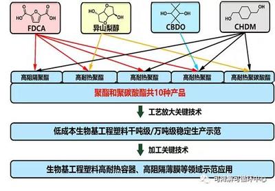 中科院寧波所生物基高分子團隊獲批國家重點研發計劃項目，推動生物基材料技術研發
