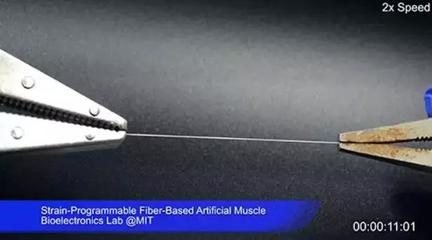 MIT研發“人造肌肉纖維” 生物基材料技術助推西部世界式超高仿真機器人成為現實