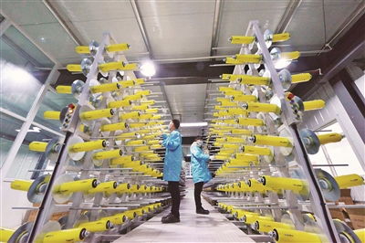 加速生物基材料技術(shù)研發(fā)與產(chǎn)業(yè)化，引領(lǐng)綠色新材料革命