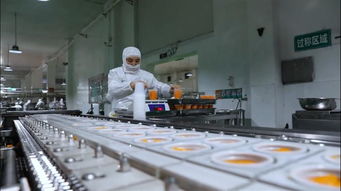 果秀食品 以生物基材料技術(shù)研發(fā)為引擎，開(kāi)啟創(chuàng)新轉(zhuǎn)型新征程，再鑄“新果秀”輝煌